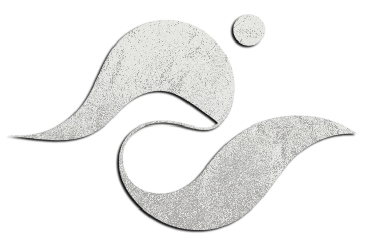 Logo Mohamed Slimani